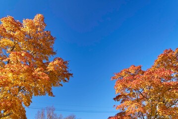 山の駅たかはら
