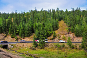Mountain and forest, grassland scenery in xinjiang, China