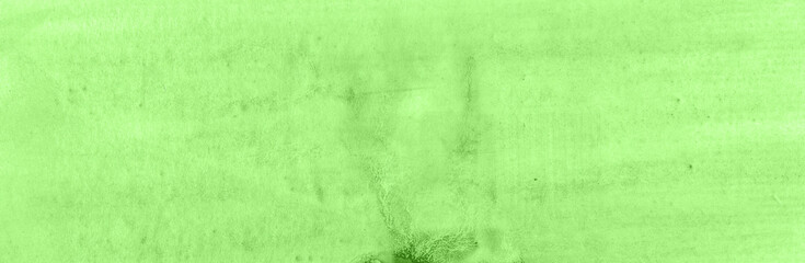 green grass background