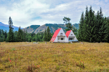 Mountain and forest, grassland scenery, yurt in xinjiang, China