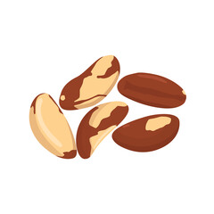 Flat vector of Brazil nuts isolated on white background. Flat illustration graphic icon