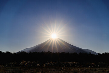 山梨県花の都公園からのダイヤモンド富士