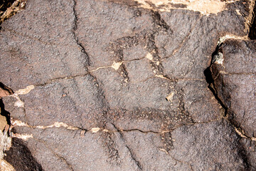 Petroglyphs on the rocks in Kazakhstan. The ancient parking cave man. Historical cave paintings. Carved on stone images of deer, goats and wolves. The development of ancient peoples.
