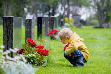 Sad little child, blond boy, standing in the rain on cemetery, sad person, mourning - obrazy, fototapety, plakaty