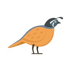 Quail farm icon flat isolated vector