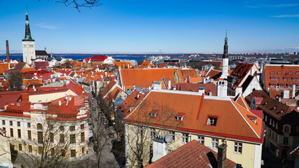 Obraz premium Tallinn skyline, Estonia. Aerial view of Tallinn. Tallinn old town, Estonia.