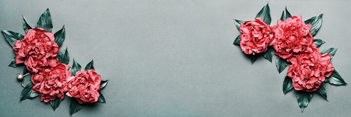 Surreal red peonies frame on gray green banner. Beauty floral background. Festive flowers concept © colnihko