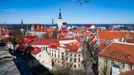 Obraz premium Tallinn skyline, Estonia. Aerial view of Tallinn. Tallinn old town, Estonia.