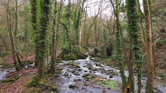 Beautiful drone shot of a waterfall in a forest in Normandie