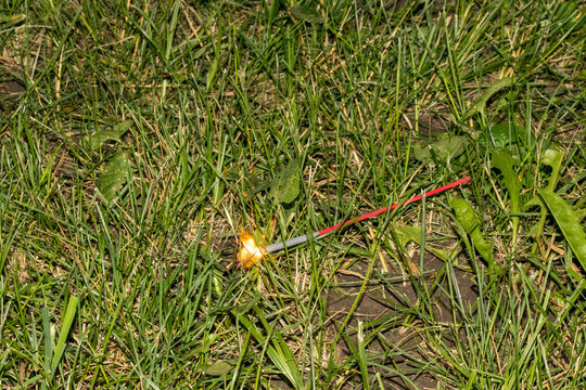 Fourth of July sparkler with grass ground back ground . High quality photo