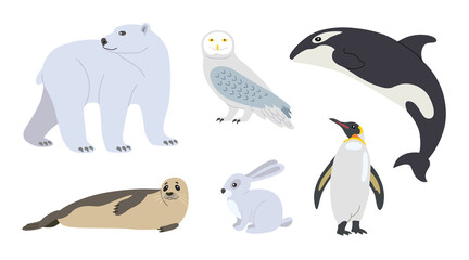 Cute arctic animal cartoon character vector illustrations set. Polar bear, penguin, seal, hare, owl, killer whale, fauna of North Pole isolated on white background. Winter, wildlife, nature concept