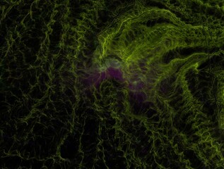 Imaginatory fractal abstract background Image