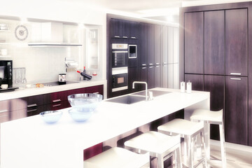 Contemporary Loft Kitchen in Design - 3D Visualization