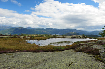 Fototapeta premium Mountain view towards Vraadal, Norway. Norwegian mountains on a partly cloudy summer day. Small pond with green and purple vegetation. Horizontal image with copy space in upper part.