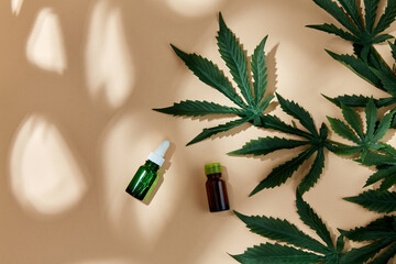 herbal medicine and aroma therapy concept - close up of hemp essential oil in glass bottles and...