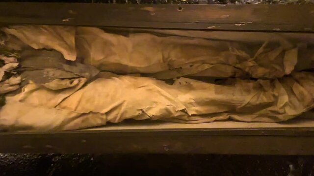 View of mummy in good preservation in mexico city