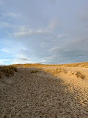 Fototapeta na wymiar Wonderful dunes at a perfect beach in a perfect evening