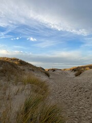 Naklejka premium Wonderful dunes at a perfect beach in a perfect evening