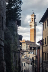 Obraz premium siena
