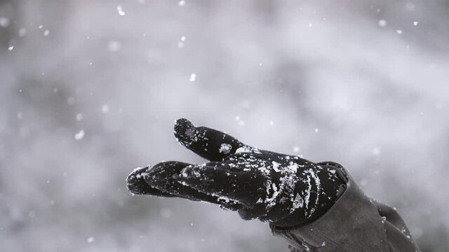 Hand of a child in a glove, in snowy weather against the background of trees. Snowflakes falling slowly, slow motion, shallow depth of field