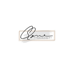 QZ initial Signature logo template vector
