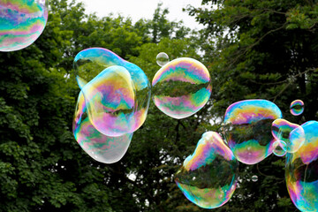 a lot of round soap bubbles are flying in the air against the background of green trees in the park. soap bubble festival. children's holiday on a summer day