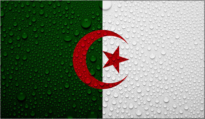 Algeria flag on water texture. 3D image