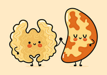 Cute, funny happy brazilian nut and walnut character. Vector hand drawn cartoon kawaii characters, illustration icon. Funny cartoon brazilian nut and walnut friends concept