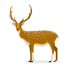 Print. Vector deer. Forest animal. Dappled deer.