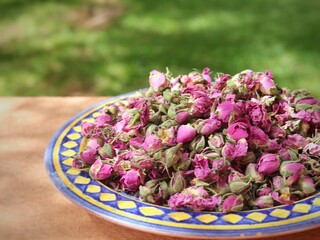 bowl of pink rose petals, kelaat megouna roses in Morocco
