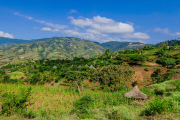 Fototapeta na wymiar Breathtaking View to the Traditional African Houses, Green Trees and Mountains under Cloudy Blue Sky of the Omo River Valley, Ethiopia