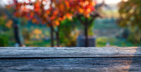 Naklejka na ściany i meble Wooden table, tabletop, blurred autumn background, Empty wooden shelf, counter, desk. Perspective wood tabletop