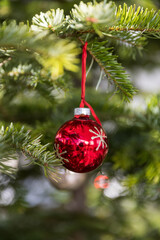 Christmas ornament on tree