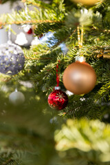 Christmas ornaments on tree