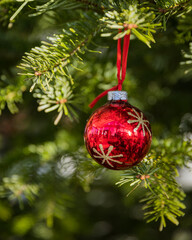 Christmas ornament on tree