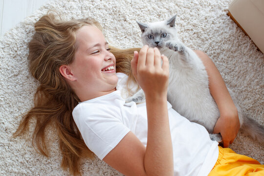A child with an animal. Girl with a cat at home. High quality photo