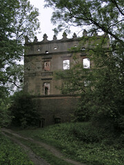 Castle ruins in Krupe, Poland