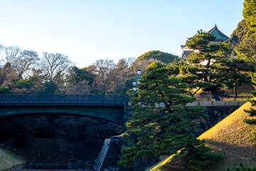 Fototapeta premium 東京・皇居外苑