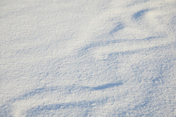 Winter snow background. Snowy white texture. Snowflakes.