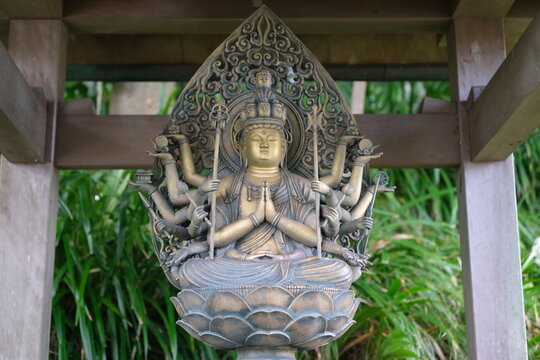 千手観音 の画像 424 件の Stock 写真 ベクターおよびビデオ Adobe Stock