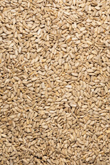 Cereals from grains for proper nutrition close-up top view