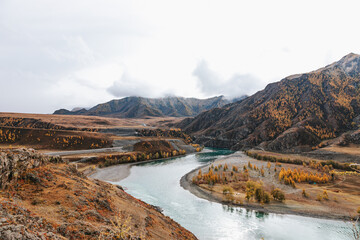 Naklejka premium Mountain river surrounded by high rocks in Altai