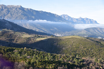 Bancs de brume dans la montagne du cortenais en Corse