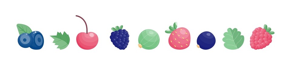 Set of berries of forest and homemade juicy berries. Cherries, blackberries, strawberries and raspberries, gooseberries, currants, blueberries. Isolated vector flat illustration on a white background.