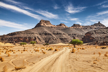 Road in Sahara Desert, Algeria. - obrazy, fototapety, plakaty