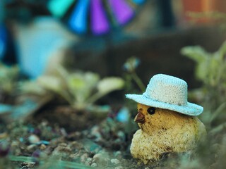 小さな庭の置物達