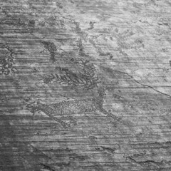 Prehistoric Graffiti