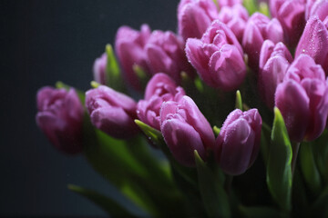 Bouquet of fresh flowers. Holiday gift to your loved one. Background St. Valentine's Day. Rose, tulip, iris flower arrangement.