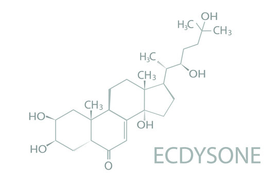 Ecdysone molecular skeletal chemical formula.