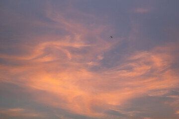 Little airplane, warm sky